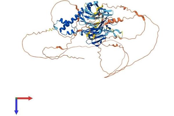 FBXO42 Protein (AA 1-717) (His tag)