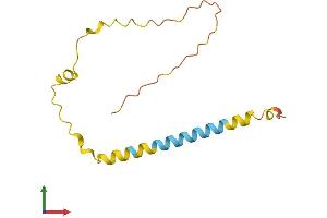 AlphaFold protein structure predicition of Human Recombinant NKAPP1 Protein, UniprotID Q8N9T2