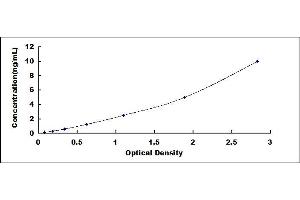 CCR6 ELISA Kit