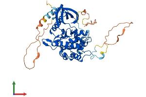 AlphaFold protein structure predicition of Human Recombinant STRADA Protein, UniprotID Q7RTN6