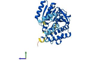 Protein Structure (PS) image for Hydroxysteroid (17-Beta) Dehydrogenase 7 (HSD17B7) (AA 1-334) protein (His tag) (ABIN7562659)