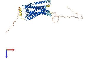 G Protein-Coupled Receptor 182 Protein (GPR182) (AA 1-404) (His tag)
