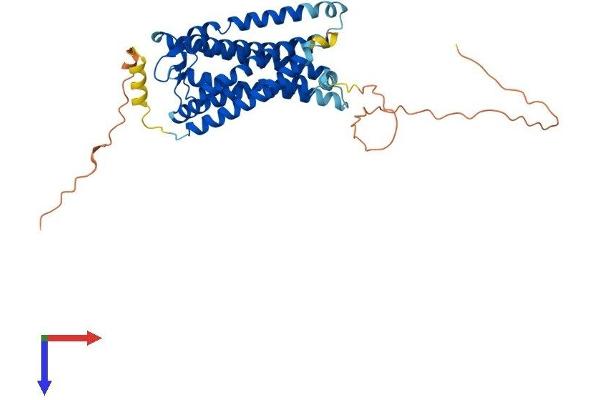 G Protein-Coupled Receptor 182 Protein (GPR182) (AA 1-404) (His tag)
