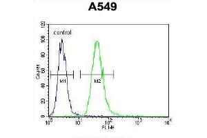 TNFR-S274 Antibody flow cytometric analysis of A549 cells (right histogram) compared to a negative control cell (left histogram). (TNFRSF1A Antikörper  (AA 259-288))