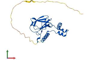 Protein Structure (PS) image for Von Hippel-Lindau Tumor Suppressor, E3 Ubiquitin Protein Ligase (VHL) (AA 1-213) protein (His tag) (ABIN7545100)