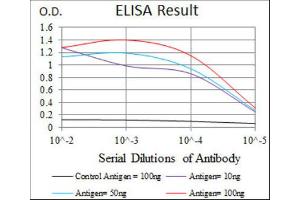 ELISA image for anti-Hyaluronan Synthase 3 (HAS3) antibody (ABIN1845757) (HAS3 Antikörper)