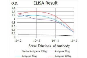 ELISA image for anti-Hyaluronan Synthase 3 (HAS3) antibody (ABIN1845758) (HAS3 Antikörper)