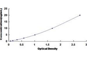 Typical standard curve (PKC zeta ELISA Kit)