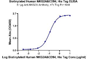 NKG2A & CD94 (AA 100-233) protein (His-Avi Tag,Biotin)