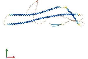 Protein Structure (PS) image for Keratin 12 (KRT12) (AA 1-487) protein (His tag) (ABIN7557821)