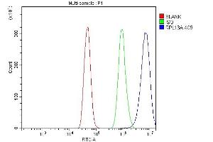 Flow Cytometry analysis of A431 cells using anti-RPL13A antibody (ABIN7600471). (RPL13A Antikörper  (AA 2-203))