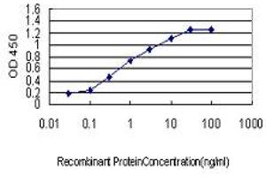Detection limit for recombinant GST tagged S100A2 is approximately 0. (S100A2 Antikörper  (AA 1-97))