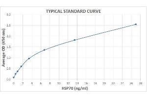 Typical Standard Curve for the HSP70 ELISA Kit (High-Sensitivity) (Enzyme-Linked Immunosorbent Assay). (HSP70 ELISA Kit)