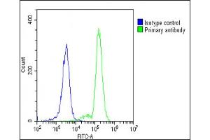 Overlay histogram showing K562 cells stained with C(green line).