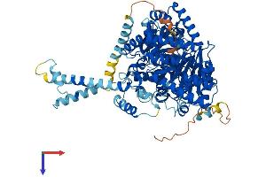 CPT1C Protein (AA 1-798) (His tag)
