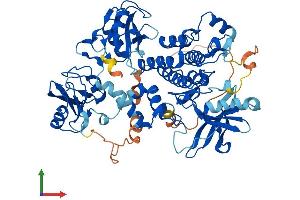 Protein Structure (PS) image for Spleen tyrosine Kinase (SYK) (AA 1-629) protein (His tag) (ABIN7563303)