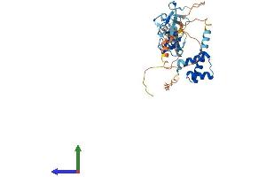 Protein Structure (PS) image for ISL LIM Homeobox 2 (ISL2) (AA 1-359) protein (His tag) (ABIN7548521)