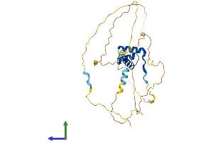 Protein Structure (PS) image for Paired-Like Homeodomain 1 (PITX1) (AA 1-314) protein (His tag) (ABIN7550848)