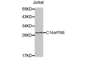 Western Blotting (WB) image for anti-Chromosome 14 Open Reading Frame 166 (C14orf166) antibody (ABIN1875532) (C14orf166 Antikörper)