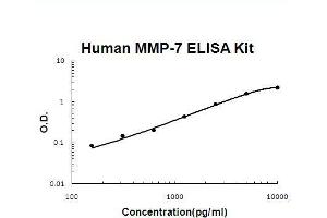 Human MMP-7 PicoKine ELISA Kit standard curve