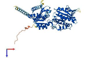 ALG1 Protein (AA 1-482) (His tag)