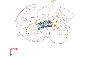 AlphaFold protein structure predicition of Mouse Recombinant Proser1 Protein, UniprotID Q5PRE5 (PROSER1 Protein (AA 1-913) (His tag))