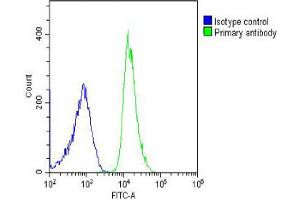 Overlay histogram showing U-2OS cells stained with Antibody (green line).