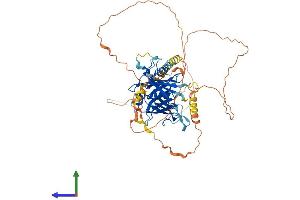 Protein Structure (PS) image for Tubby Like Protein 1 (TULP1) (AA 1-542) protein (His tag) (ABIN7555901)