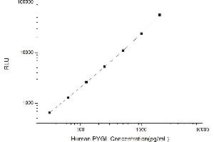 Typical standard curve (PYGL CLIA Kit)