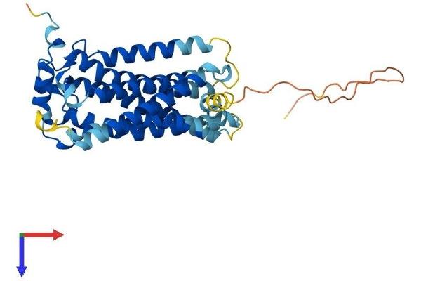 S1PR2 Protein (AA 1-352) (His tag)