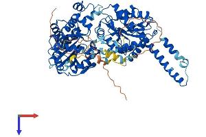 Glycogen Synthase 2 Protein (AA 1-703) (His tag)
