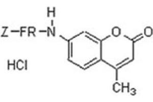 Image no. 1 for N-Cbz-Phe-Arg-AMC peptide (ABIN399631)