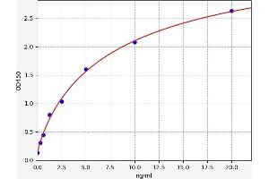 Cx40/GJA5 ELISA Kit