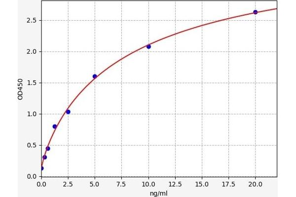 Cx40/GJA5 ELISA Kit