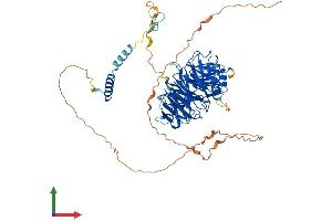 AlphaFold protein structure predicition of Human Recombinant WDR76 Protein, UniprotID Q9H967 (WDR76 Protein (AA 1-626) (His tag))