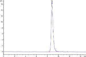 The purity of Cynomolgus TNFR1 is greater than 95 % as determined by SEC-HPLC. (TNFRSF1A Protein (AA 30-211) (His tag))