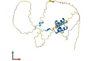 AlphaFold protein structure predicition of Mouse Recombinant Nkx6-3 Protein, UniprotID Q3UHX8 (NK6 Homeobox 3 Protein (NKX6-3) (AA 1-262) (His tag))