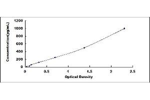 Typical standard curve (DEFA6 ELISA Kit)