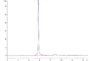 Size-exclusion chromatography-High Pressure Liquid Chromatography (SEC-HPLC) image for Microseminoprotein, Prostate Associated (MSMP) (AA 37-139) protein (Fc Tag) (ABIN7275492)