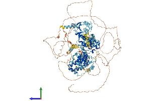 Protein Structure (PS) image for Replication Factor C (Activator 1) 1, 145kDa (RFC1) (AA 1-1131) protein (His tag) (ABIN7563182)