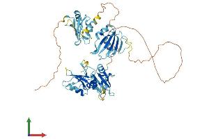 Protein Structure (PS) image for Polypyrimidine Tract Binding Protein 3 (PTBP3) (AA 1-523) protein (His tag) (ABIN7558631)