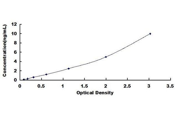 IRF5 ELISA Kit