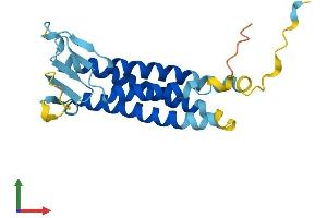 Protein Structure (PS) image for TP53 Apoptosis Effector (PERP) (AA 1-193) protein (His tag) (ABIN7561626)
