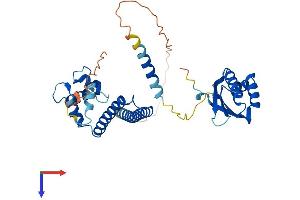 NECAB1 Protein (AA 1-352) (His tag)