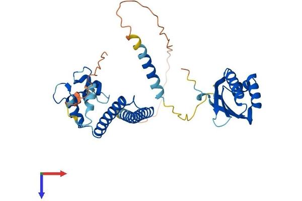 NECAB1 Protein (AA 1-352) (His tag)