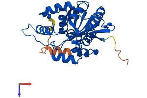 CNOT7 Protein (AA 1-285) (His tag)
