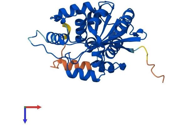 CNOT7 Protein (AA 1-285) (His tag)