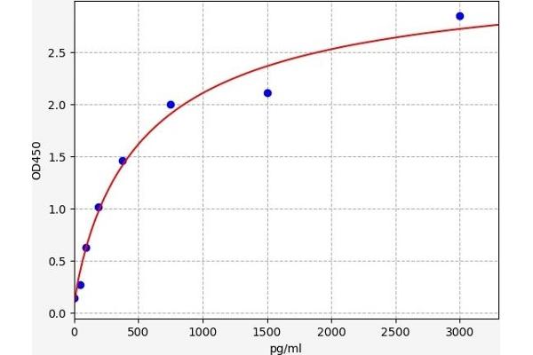 FURIN ELISA Kit