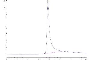 The purity of Human TNF alpha is greater than 95 % as determined by SEC-HPLC. (TNF alpha Protein (AA 77-233) (His-Avi Tag))
