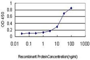 Detection limit for recombinant GST tagged FLJ20643 is approximately 1ng/ml as a capture antibody. (PIH1D1 Antikörper  (AA 1-290))